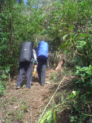 Survey GH I - 37.JPG