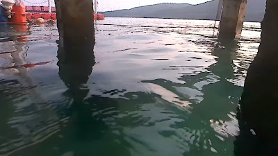 BP5AE3SENR0020.mp4