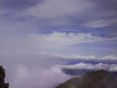 DSC01659.JPG