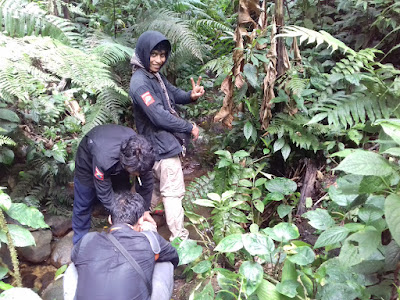 20151031_134256.jpg