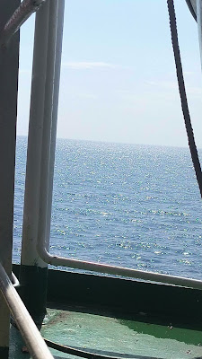 VID_20250510_090646_HDR10PLUS.mp4