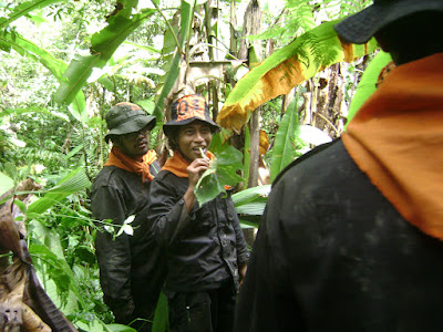 DSC00013.JPG
