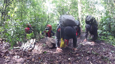 GOPR2595.MP4