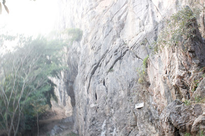 _MG_8875.JPG