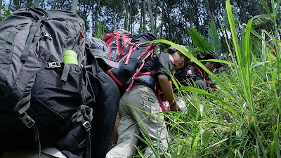 DSCF6465.MOV