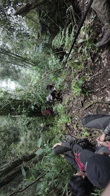 DJI_0120_001.MP4