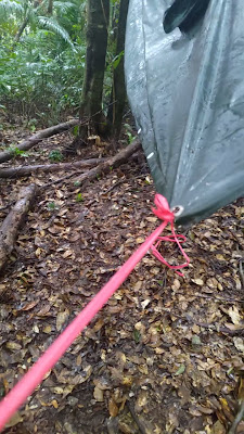 V_20251228_122839_OC5.mp4