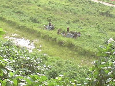 DSC00406.JPG